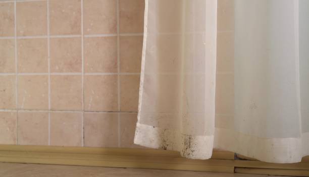 Mold Removal for HVAC Installations in Clifton Heights, PA