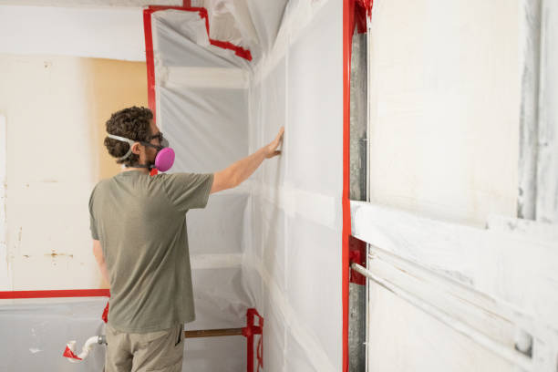 Best Airborne Mold Testing  in Clifton Heights, PA