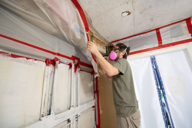 Best Flood Damage  in Clifton Heights, PA