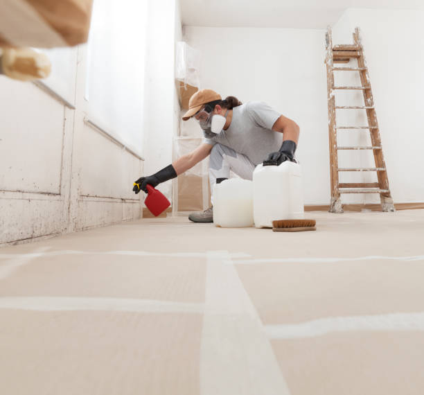 Best Post-Remediation Verification Testing  in Clifton Heights, PA